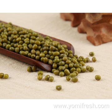 Green Beans Nutrition